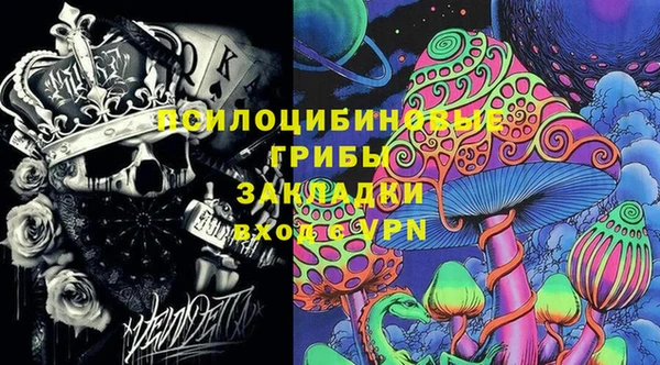 прущие грибы Бугульма