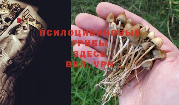 прущие грибы Бугульма