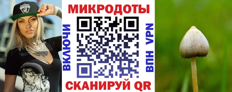 Псилоцибиновые грибы Magic Shrooms  закладка  Медногорск 